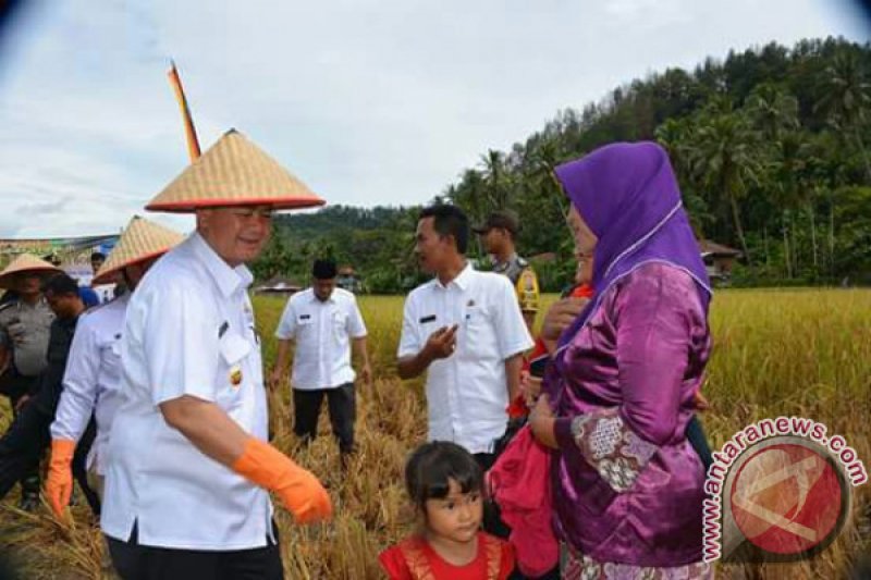 WAGUB SUMBAR PANEN PADI 