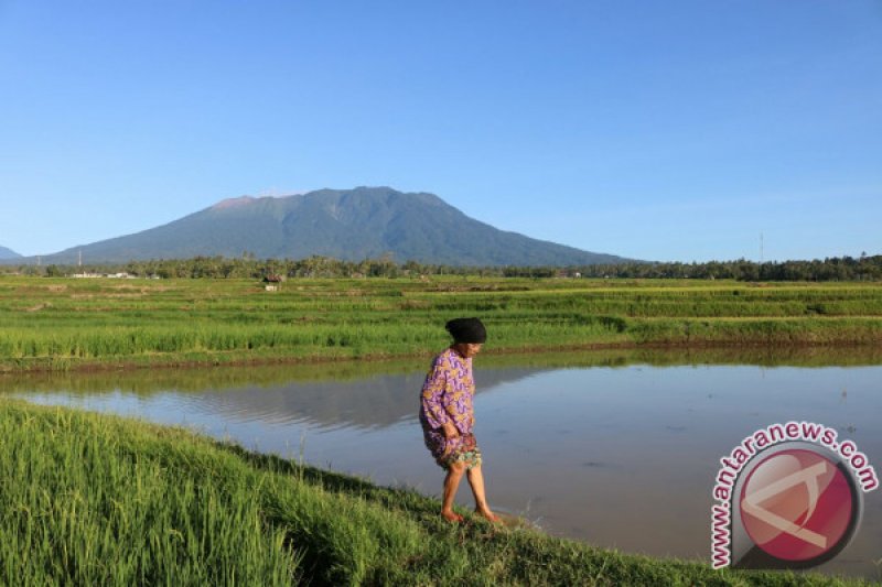 ANTISIPASI GAGAL PANEN