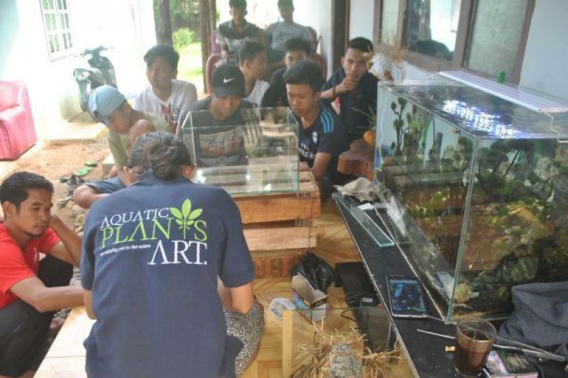 Rumah Akar Baca Gelar Pelatihan Aquascape Antara News Lampung