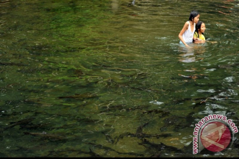 WISATA IKAN LARANGAN LUBUK LANDUA