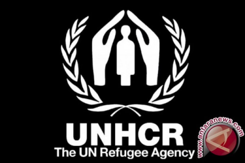 UNHCR: Dukungan untuk pengungsi meningkat di tengah perang Ukraina