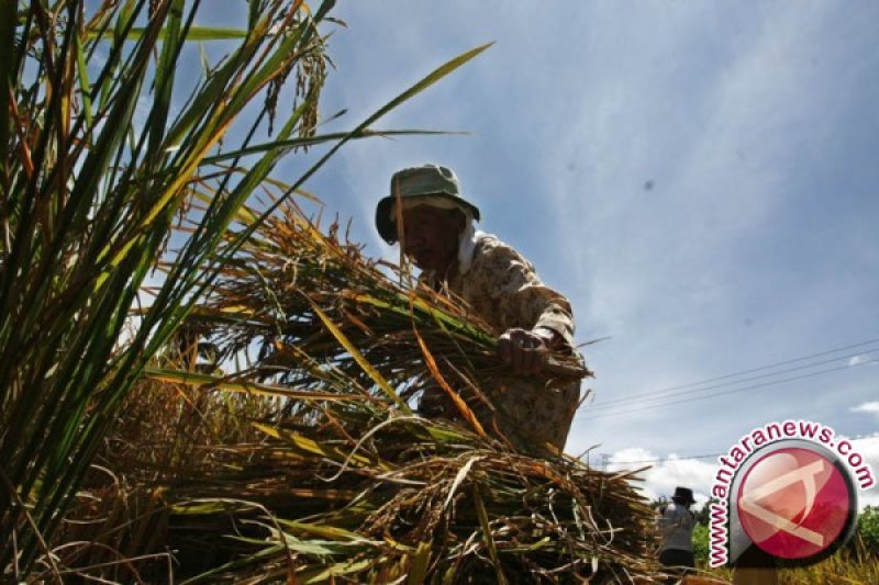 NTP Sulbar naik 0,75 persen
