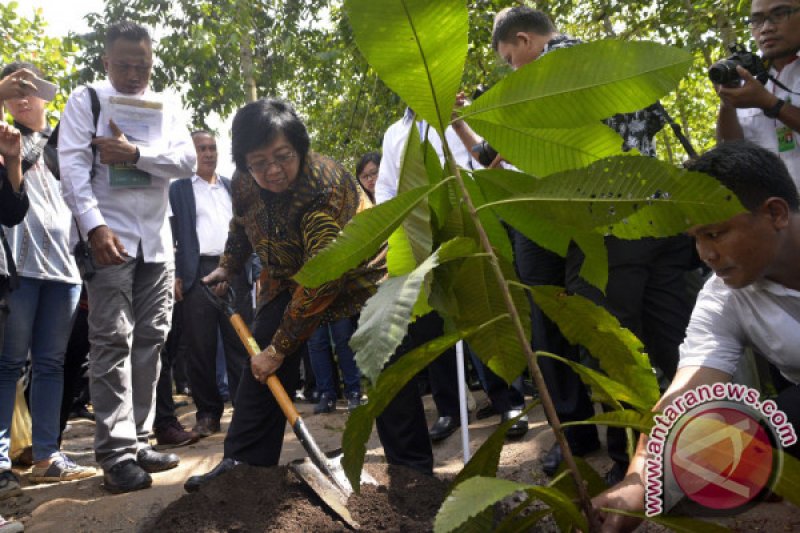 KUNJUNGAN KERJA MENTERI KEHUTANAN DAN LINGKUNGAN HIDUP