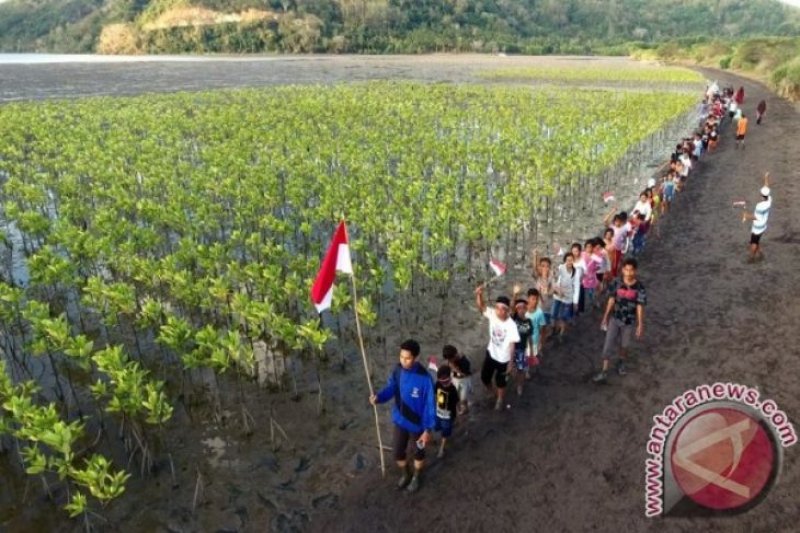 menikmati berkah hutan mangrove