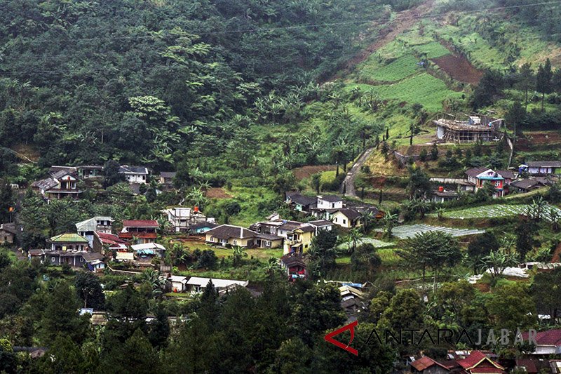 Vila Puncak Cipanas Ramai Dipesan Wisatawan Akhir Tahun Vila Puncak Cipanas Ramai Dipesan Wisatawan Akhir Tahun