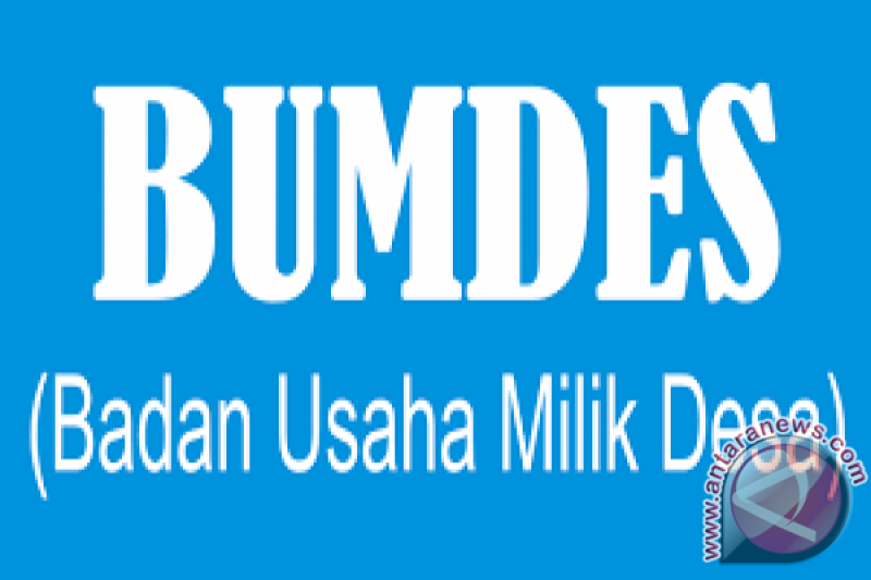Pemprov Sumsel dorong pembentukan dan peningkatan kinerja BUMDes