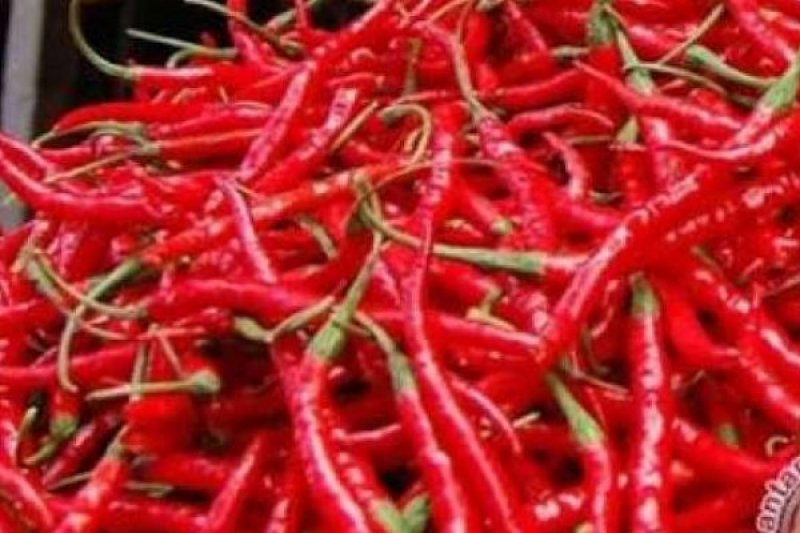 Naik Rp10 Ribu, Harga Cabai Keriting di Pekanbaru Capai Rp55 Ribu