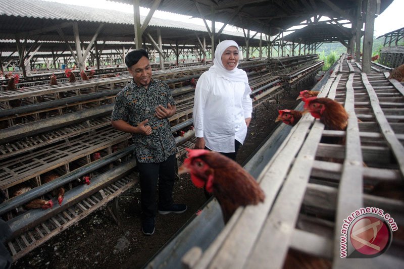 Kampanye Cagub Jatim Khofifah di Blitar