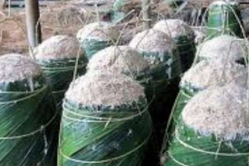 Produksi Sagu Meranti 250 Ribu Ton pertahun, Perputaran Uangnya Rp450 Miliar