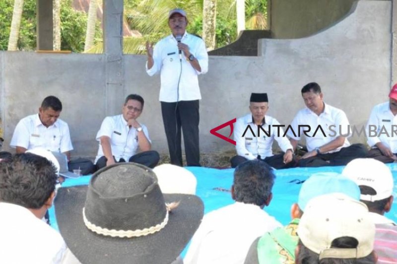 Zuldafri Darma ajak petani Tanah Datar tanam padi serentak