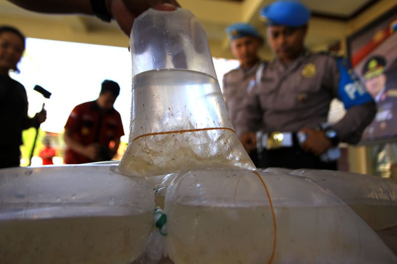 Gagalkan penyelundupan benur