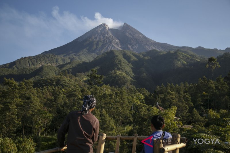 Kejati DIY bantu penghijauan di lereng Merapi