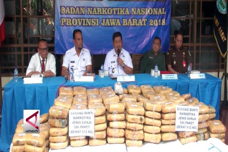 BNN Jabar gagalkan penyelundupan 1/2 ton ganja