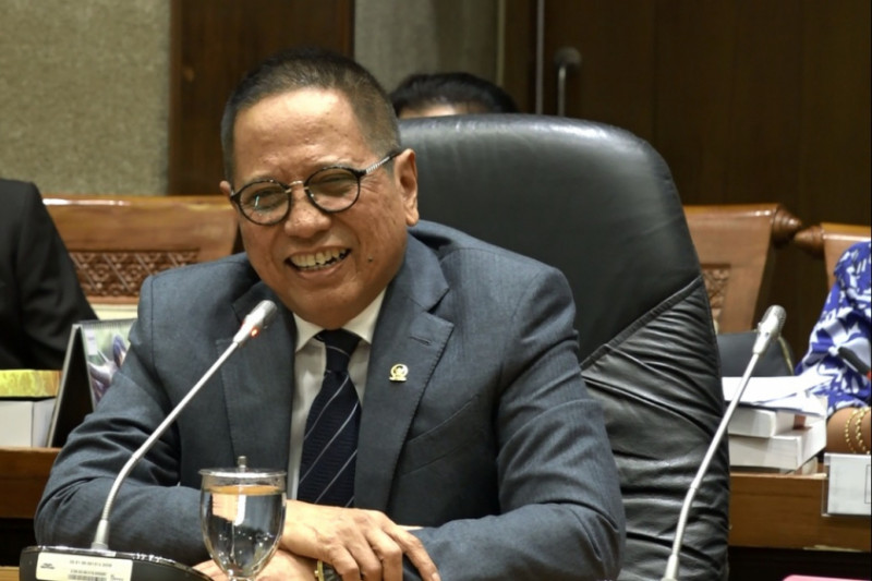 Anggota DPR: pengelolaan SDA era Jokowi kokohkan peran nasional