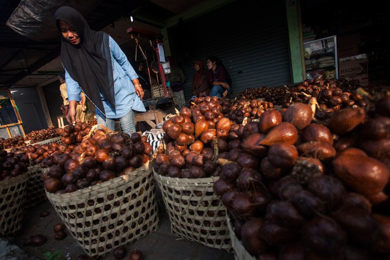 buah-salak-camilan-sederhana-dengan-segudang-manfaat-kesehatan