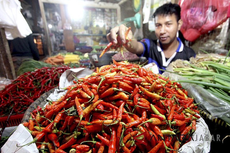 Disperindag Jabar antisipasi lonjakan harga cabai