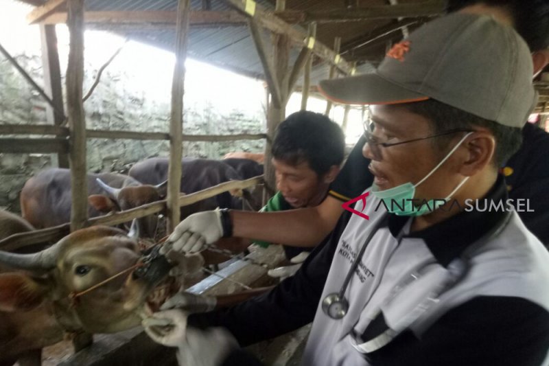 Sumsel belum makmur soal pemenuhan protein hewani