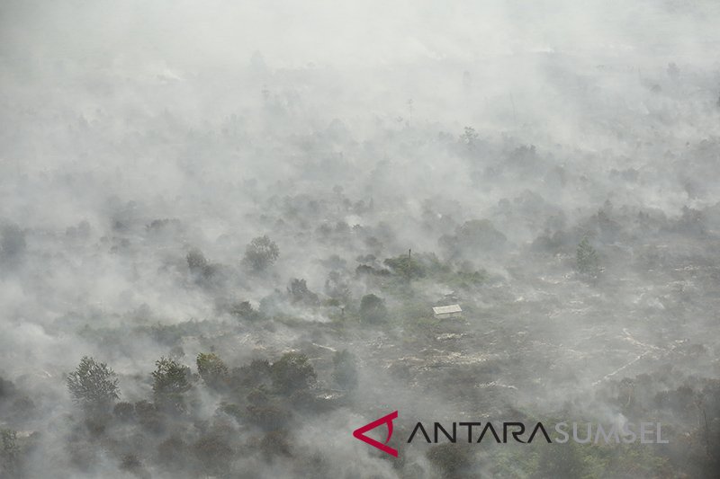 Kebakaran Lahan Di Muara Medak Masih Menyala