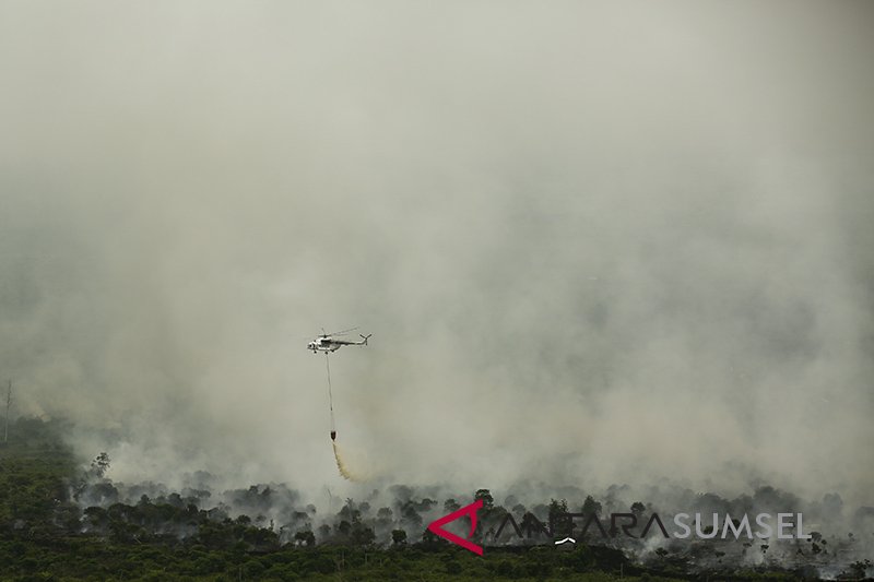 Kebakaran Lahan Di Muara Medak Masih Menyala