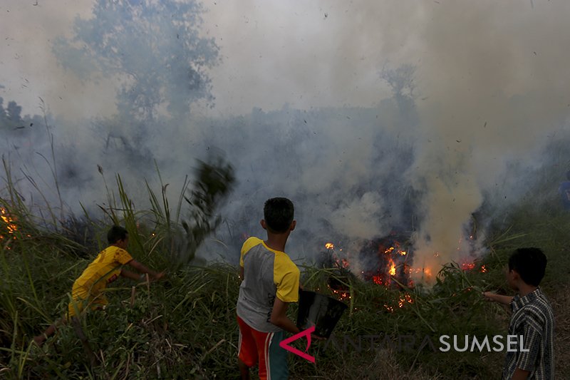 Kebakaran Lahan Di Pemulutan