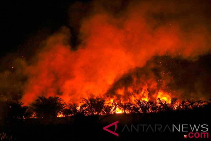 Kebakaran Lahan Di Ogan Ilir
