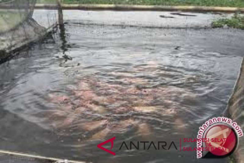 DP2 Makassar tebar bibit ikan di danau