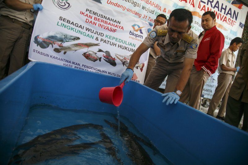 PEMUSNAHAN JENIS IKAN BERBAHAYA