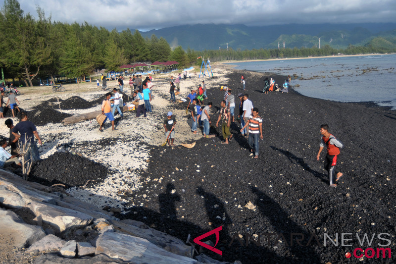 Unduh 80+ Gambar Ekosistem Pantai Batu Keren Gratis