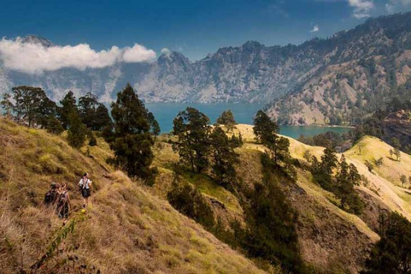 Pemerintah akan kaji ulang rencana pendakian Rinjani