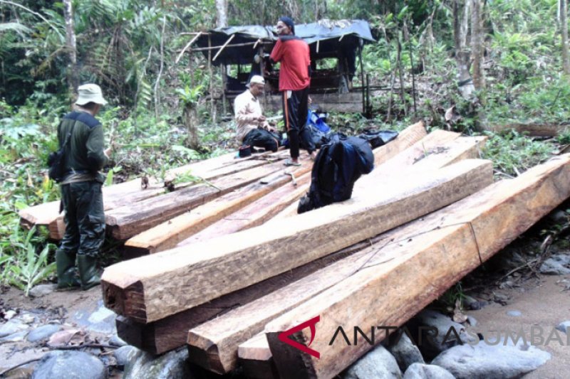 TNKS sita kayu tak bertuan, diduga hasil pembalakan liar