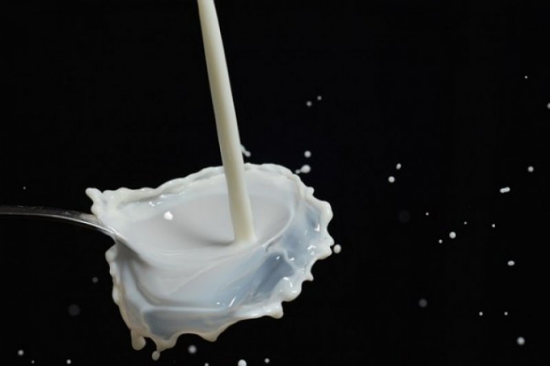 10 manfaat susu unta bagi kesehatan tubuh yang jarang diketahui