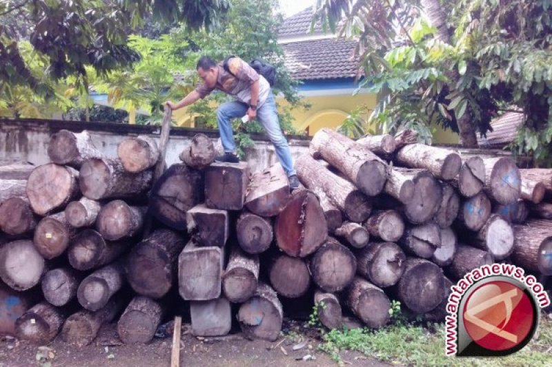 Kayu hasil perambahan hutan akan diberikan kepada korban gempa