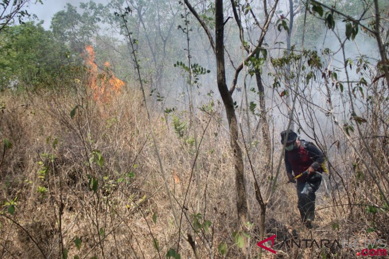 Kebakaran Hutan Gunung Ciremai Terus Meluas Antara News