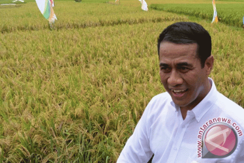Petani Karawang adukan harga gabah rendah, Ini respon Mentan