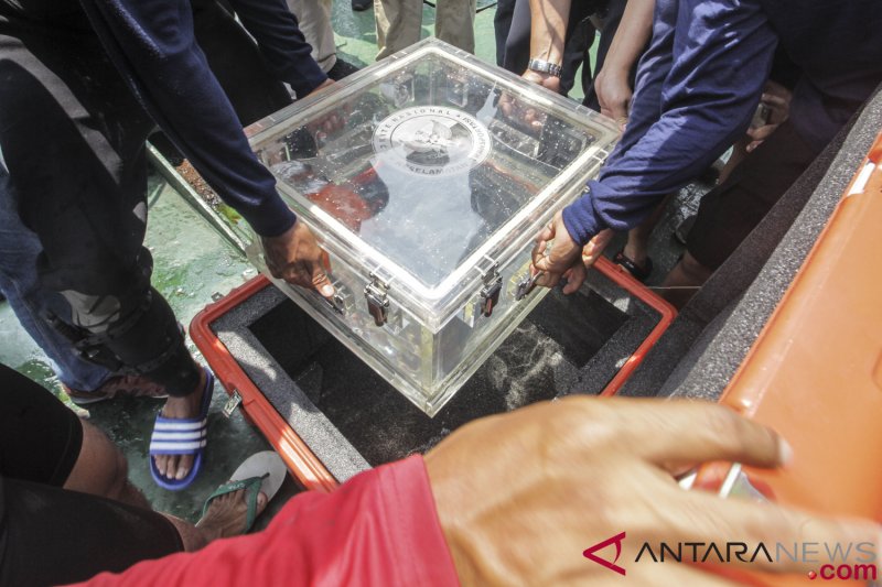 Akhirnya Kotak Hitam Lion Air Jt 610 Ditemukan Antara News Kalimantan Barat