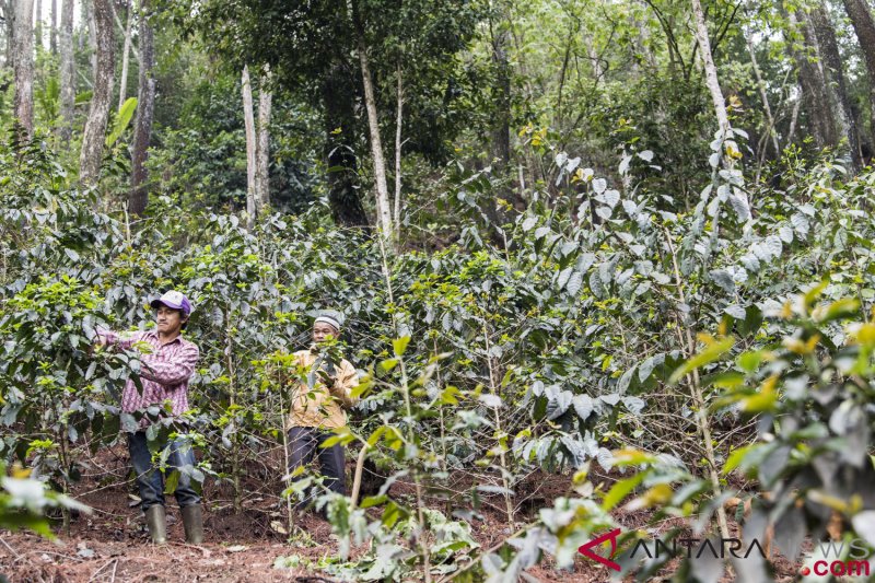 DPRD Jabar respon positif rencana Sekolah Kopi Internasional