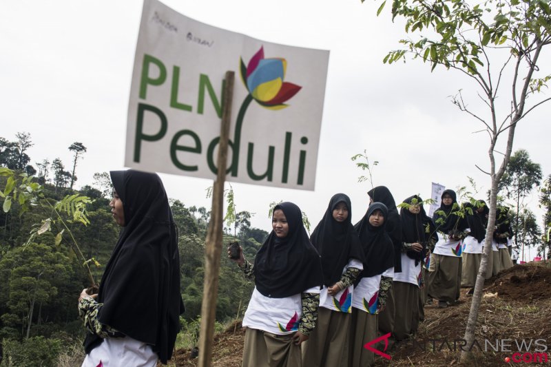 PLN Jabar tanam 3.085 pohon di pesantren Bukit Citarik