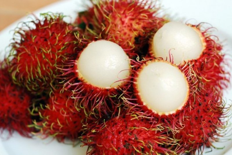 benarkah-buah-rambutan-bikin-batuk-cek-faktanya-di-sini