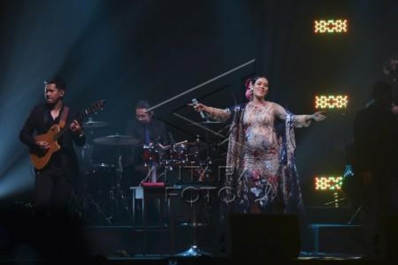 Konser Raisa