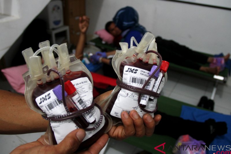 PMI Rejang Lebong bentuk kampung donor darah