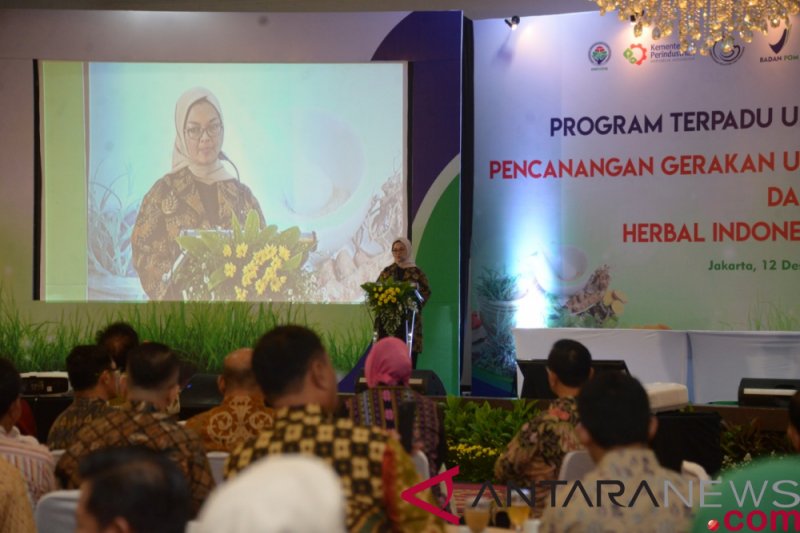 Majukan UMKM jamu, BPOM gelar Herbal Indonesia Expo 2018