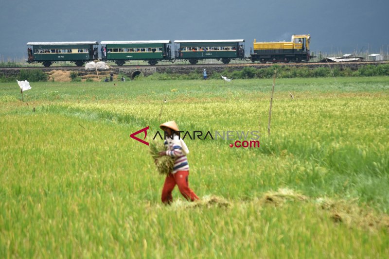 sejarah-kereta-api-indonesia-dari-masa-kolonial-hingga-sekarang