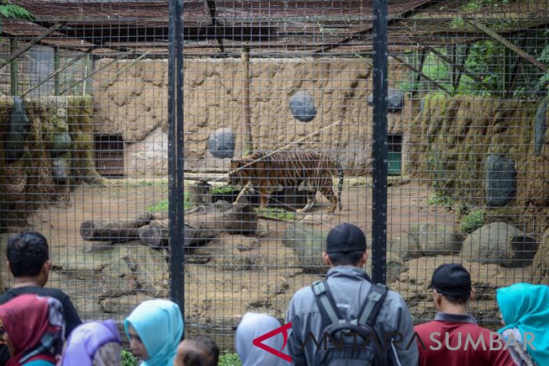 TARGET KUNJUNGAN BANDUNG ZOO