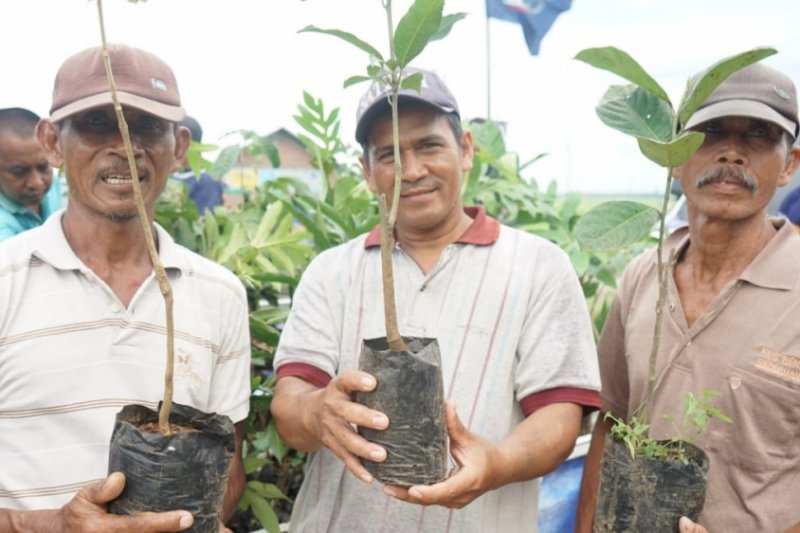 Sahabat Lestari bagikan 30.000 bibit tanaman buah