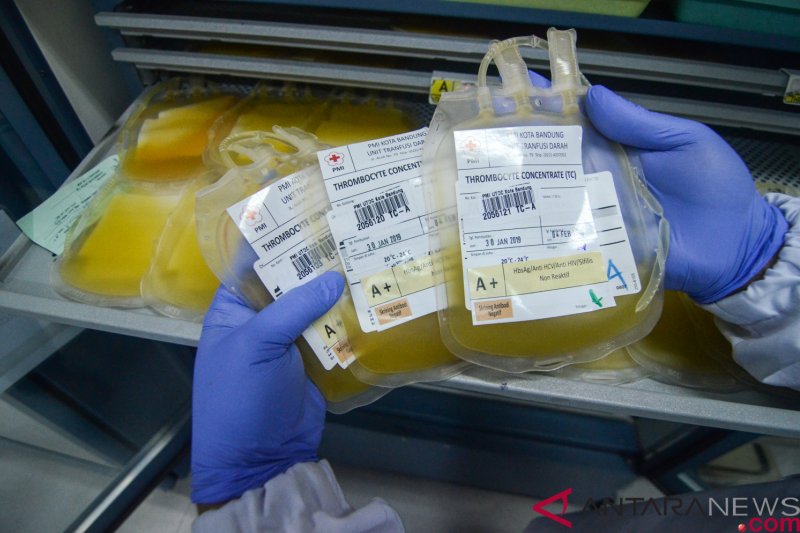 Stok darah aman untuk pasien DBD