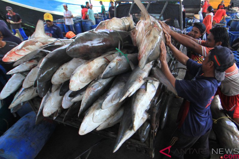Harapan nelayan pada