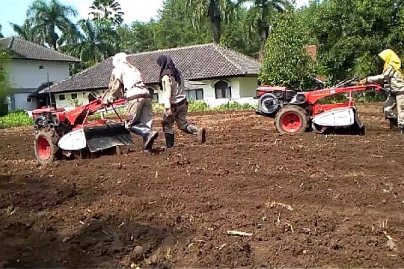 Mahasiswa Milenial Polbangtan olah lahan gunakan alsintan