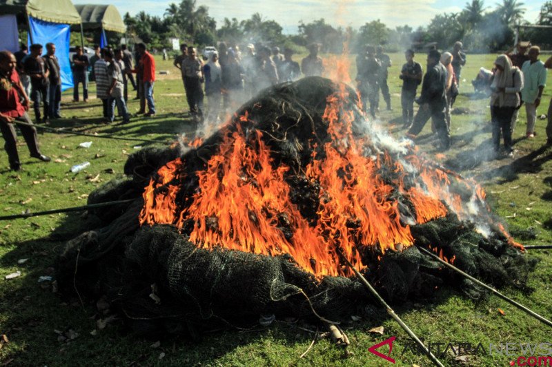 Bakar pukat harimau