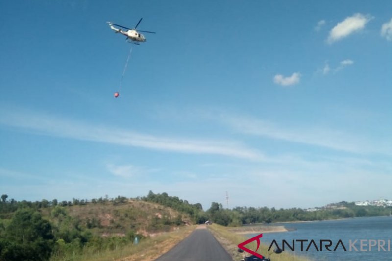 40 hektare hutan lindung Batam terbakar