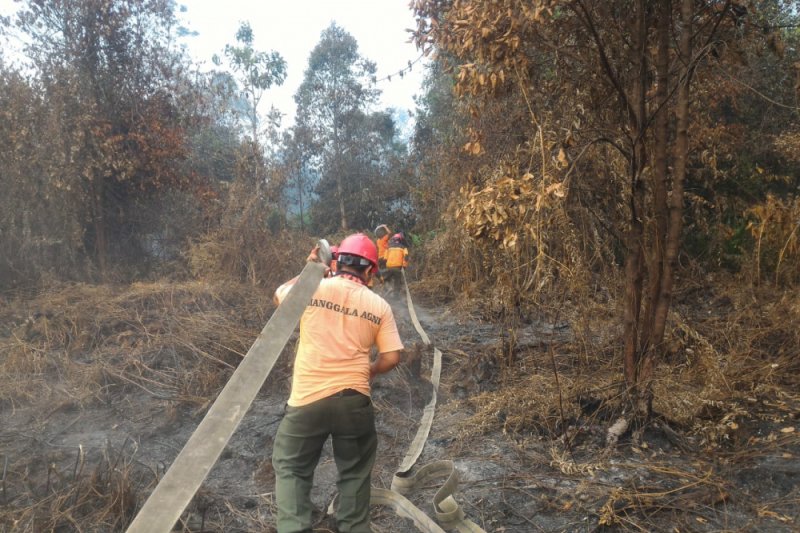 Manggala Agni Berjibaku Lawan Karhutla Rohil